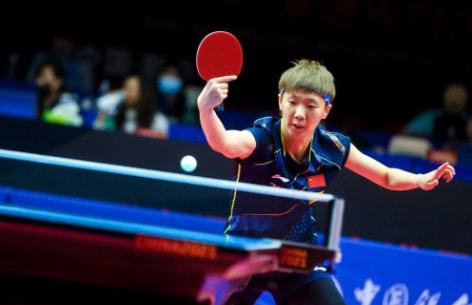 要理解萨拉 要理解萨拉