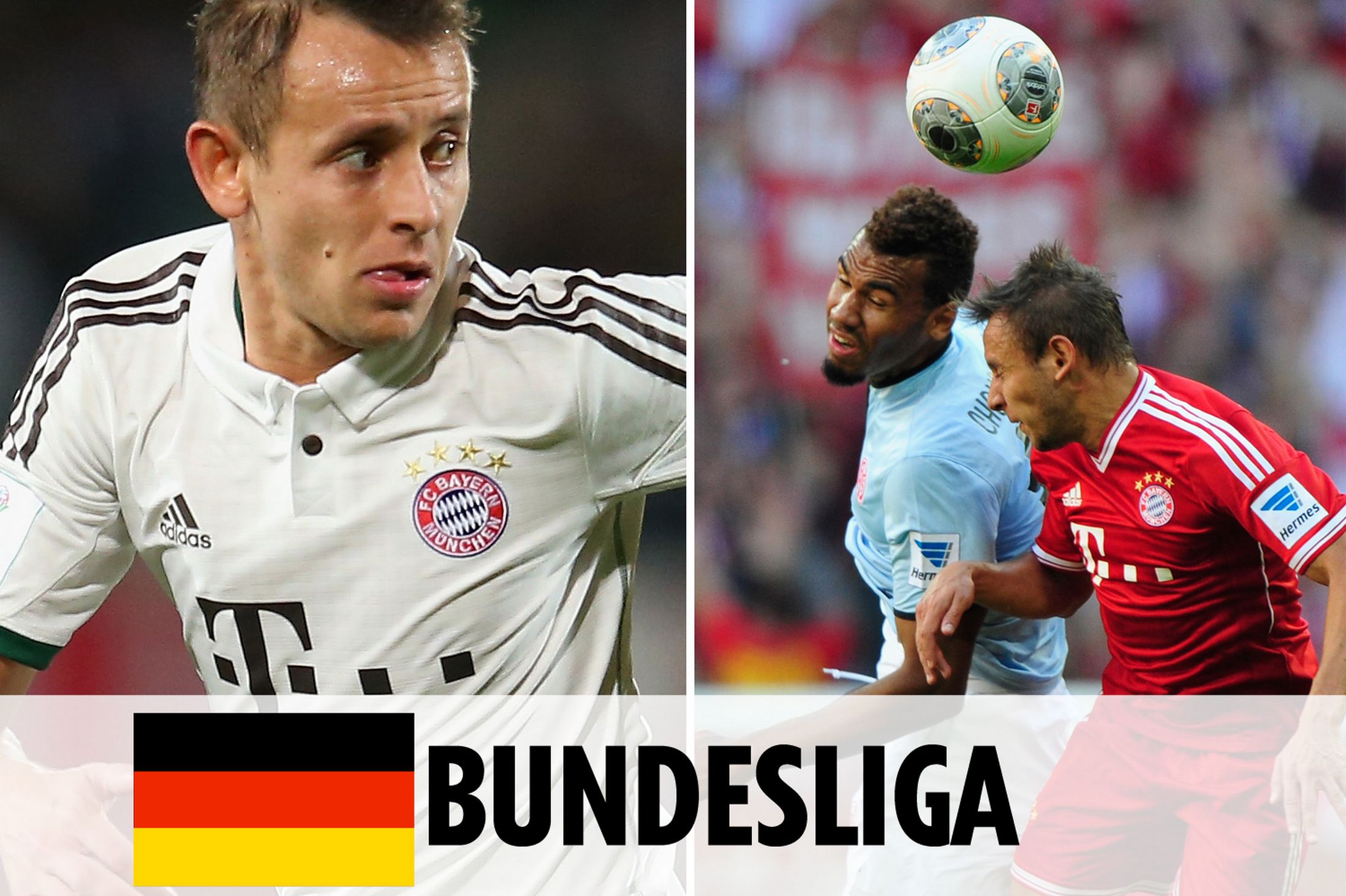 优秀的后备 优秀的后备